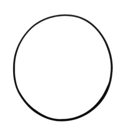 O-ring pomphuis
